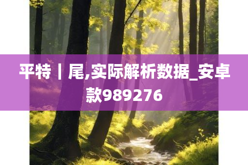 平特｜尾,实际解析数据_安卓款989276