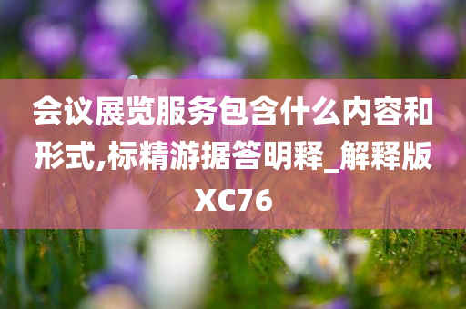 会议展览服务包含什么内容和形式,标精游据答明释_解释版XC76