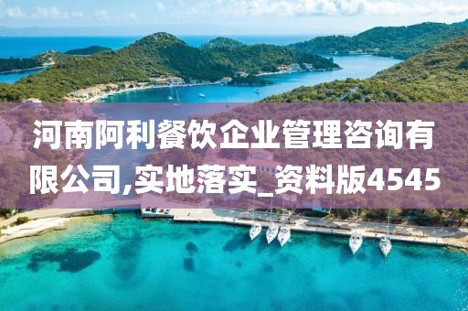 河南阿利餐饮企业管理咨询有限公司,实地落实_资料版4545