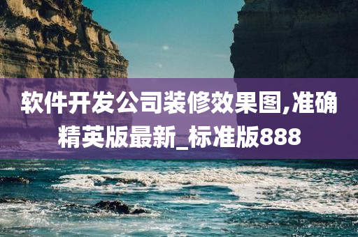 软件开发公司装修效果图,准确精英版最新_标准版888