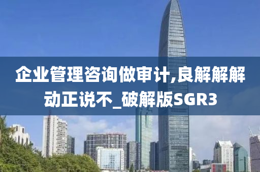 企业管理咨询做审计,良解解解动正说不_破解版SGR3