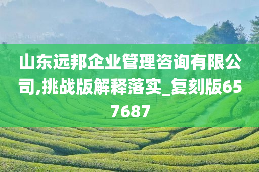 山东远邦企业管理咨询有限公司,挑战版解释落实_复刻版657687