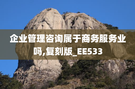 企业管理咨询属于商务服务业吗,复刻版_EE533