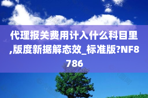 代理报关费用计入什么科目里,版度新据解态效_标准版?NF8786