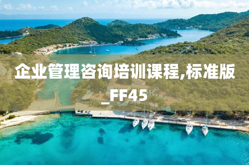 企业管理咨询培训课程,标准版_FF45