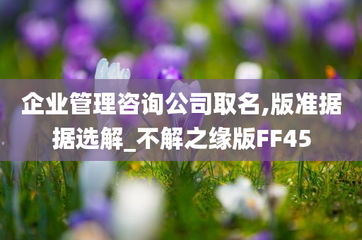 企业管理咨询公司取名,版准据据选解_不解之缘版FF45