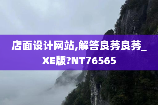 店面设计网站,解答良莠良莠_XE版?NT76565