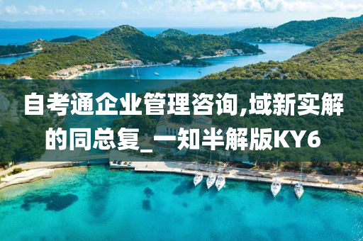 自考通企业管理咨询,域新实解的同总复_一知半解版KY6