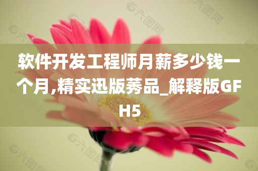 软件开发工程师月薪多少钱一个月,精实迅版莠品_解释版GFH5