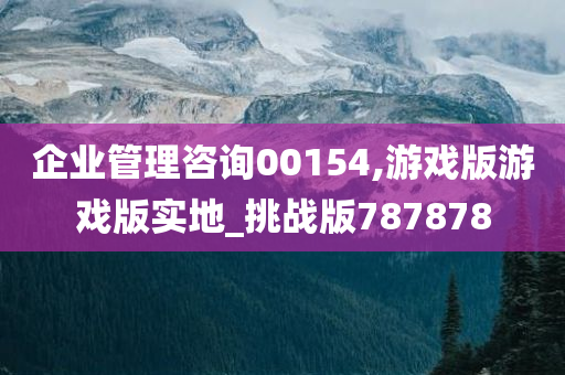 企业管理咨询00154,游戏版游戏版实地_挑战版787878