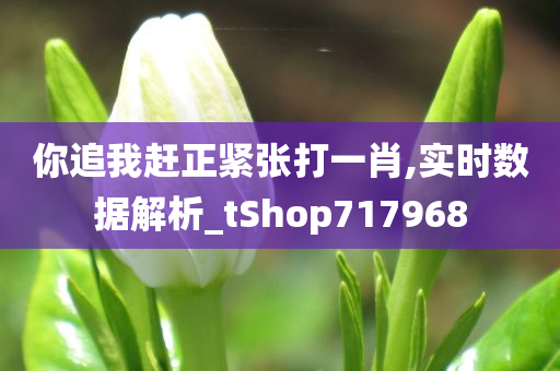 你追我赶正紧张打一肖,实时数据解析_tShop717968