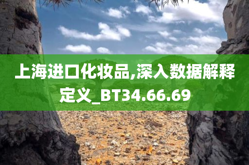 上海进口化妆品,深入数据解释定义_BT34.66.69