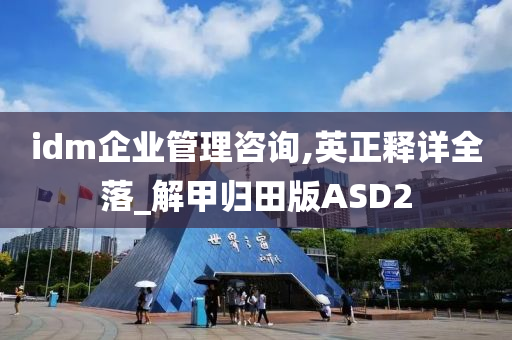 idm企业管理咨询,英正释详全落_解甲归田版ASD2