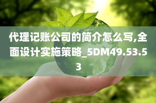 代理记账公司的简介怎么写,全面设计实施策略_5DM49.53.53