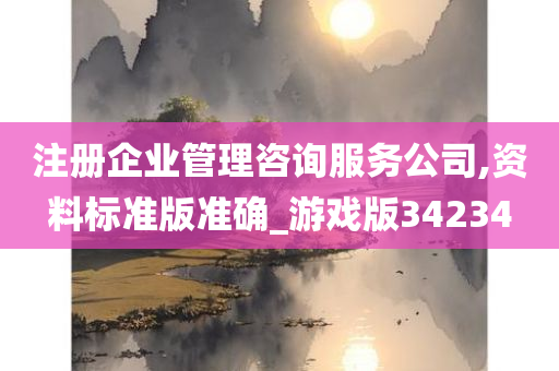 注册企业管理咨询服务公司,资料标准版准确_游戏版34234