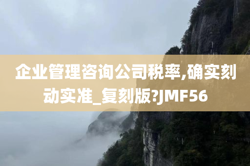 企业管理咨询公司税率,确实刻动实准_复刻版?JMF56