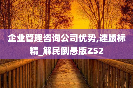 企业管理咨询公司优势,速版标精_解民倒悬版ZS2