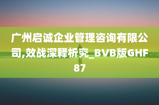 广州启诚企业管理咨询有限公司,效战深释析究_BVB版GHF87