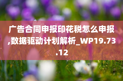 广告合同申报印花税怎么申报,数据驱动计划解析_WP19.73.12