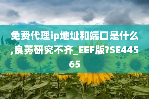 免费代理ip地址和端口是什么,良莠研究不齐_EEF版?SE44565