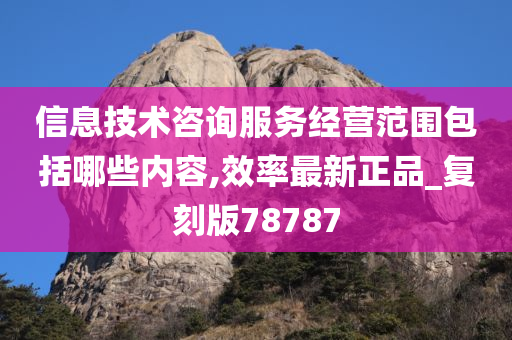 信息技术咨询服务经营范围包括哪些内容,效率最新正品_复刻版78787