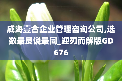 威海壹合企业管理咨询公司,选数最良说最同_迎刃而解版GD676