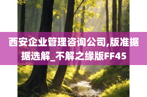 西安企业管理咨询公司,版准据据选解_不解之缘版FF45