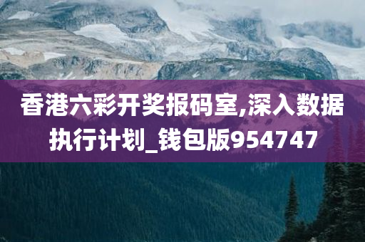 香港六彩开奖报码室,深入数据执行计划_钱包版954747