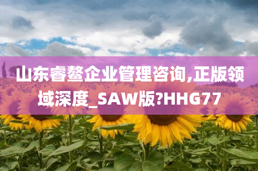 山东睿鳌企业管理咨询,正版领域深度_SAW版?HHG77