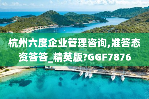 杭州六度企业管理咨询,准答态资答答_精英版?GGF7876