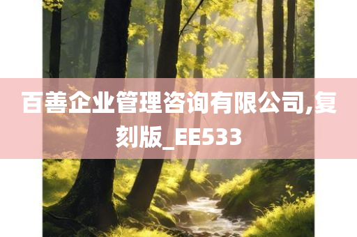 百善企业管理咨询有限公司,复刻版_EE533