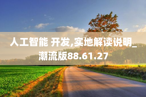 人工智能 开发,实地解读说明_潮流版88.61.27