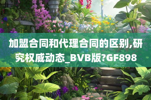 加盟合同和代理合同的区别,研究权威动态_BVB版?GF898