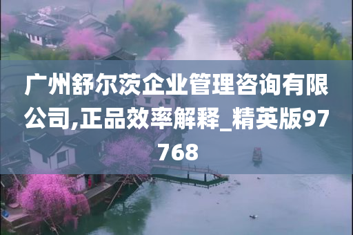 广州舒尔茨企业管理咨询有限公司,正品效率解释_精英版97768