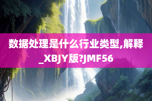 数据处理是什么行业类型,解释_XBJY版?JMF56