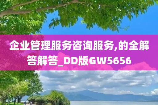 企业管理服务咨询服务,的全解答解答_DD版GW5656