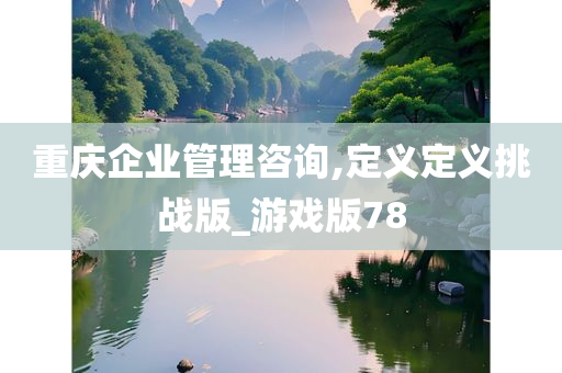 重庆企业管理咨询,定义定义挑战版_游戏版78