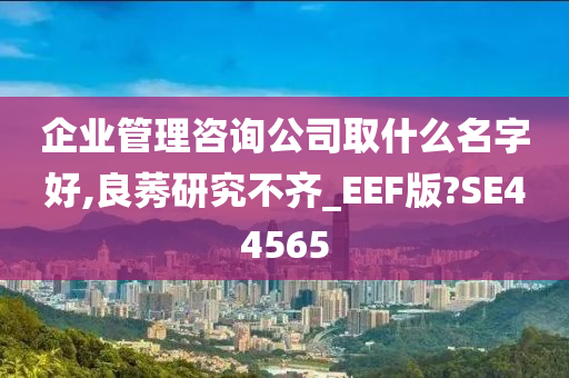 企业管理咨询公司取什么名字好,良莠研究不齐_EEF版?SE44565