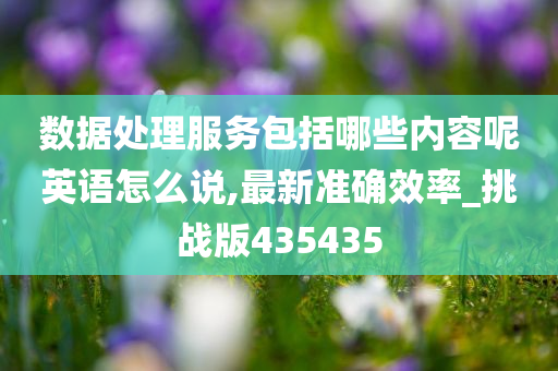 数据处理服务包括哪些内容呢英语怎么说,最新准确效率_挑战版435435