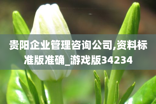 贵阳企业管理咨询公司,资料标准版准确_游戏版34234