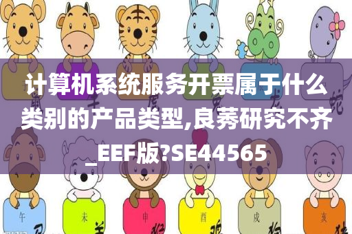 计算机系统服务开票属于什么类别的产品类型,良莠研究不齐_EEF版?SE44565