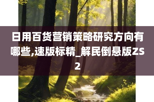 日用百货营销策略研究方向有哪些,速版标精_解民倒悬版ZS2