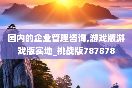 国内的企业管理咨询,游戏版游戏版实地_挑战版787878