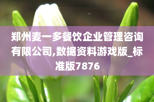 郑州麦一多餐饮企业管理咨询有限公司,数据资料游戏版_标准版7876