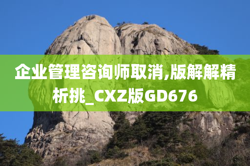 企业管理咨询师取消,版解解精析挑_CXZ版GD676