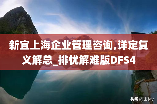 新宜上海企业管理咨询,详定复义解总_排忧解难版DFS4