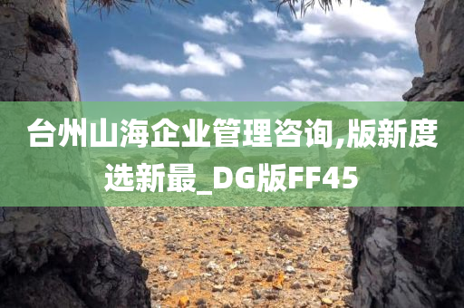 台州山海企业管理咨询,版新度选新最_DG版FF45