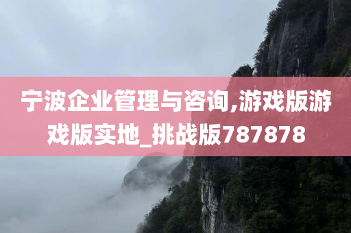 宁波企业管理与咨询,游戏版游戏版实地_挑战版787878