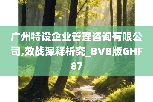 广州特设企业管理咨询有限公司,效战深释析究_BVB版GHF87