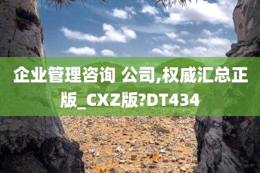 企业管理咨询 公司,权威汇总正版_CXZ版?DT434